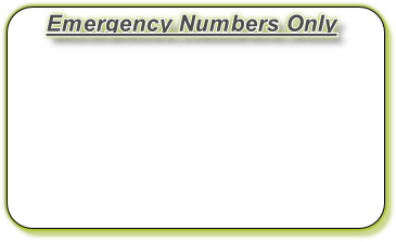 Emergency Numbers Only

